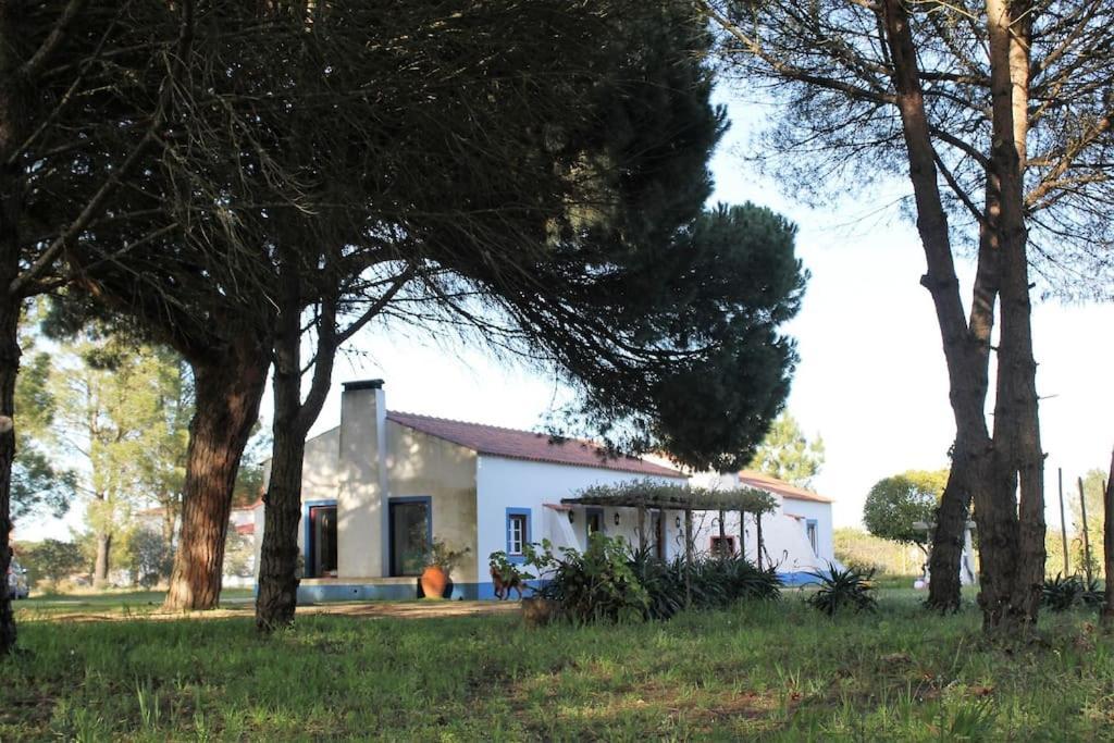 알카세르두살 Casa Do Pinheiro 빌라 외부 사진