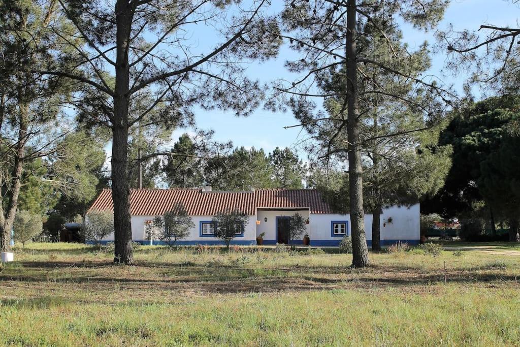 알카세르두살 Casa Do Pinheiro 빌라 외부 사진
