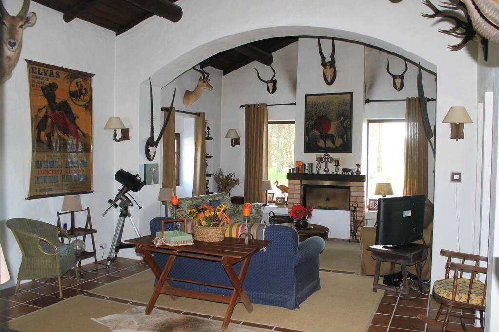 알카세르두살 Casa Do Pinheiro 빌라 외부 사진